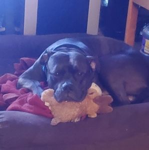 Meet your Posher, Shelly